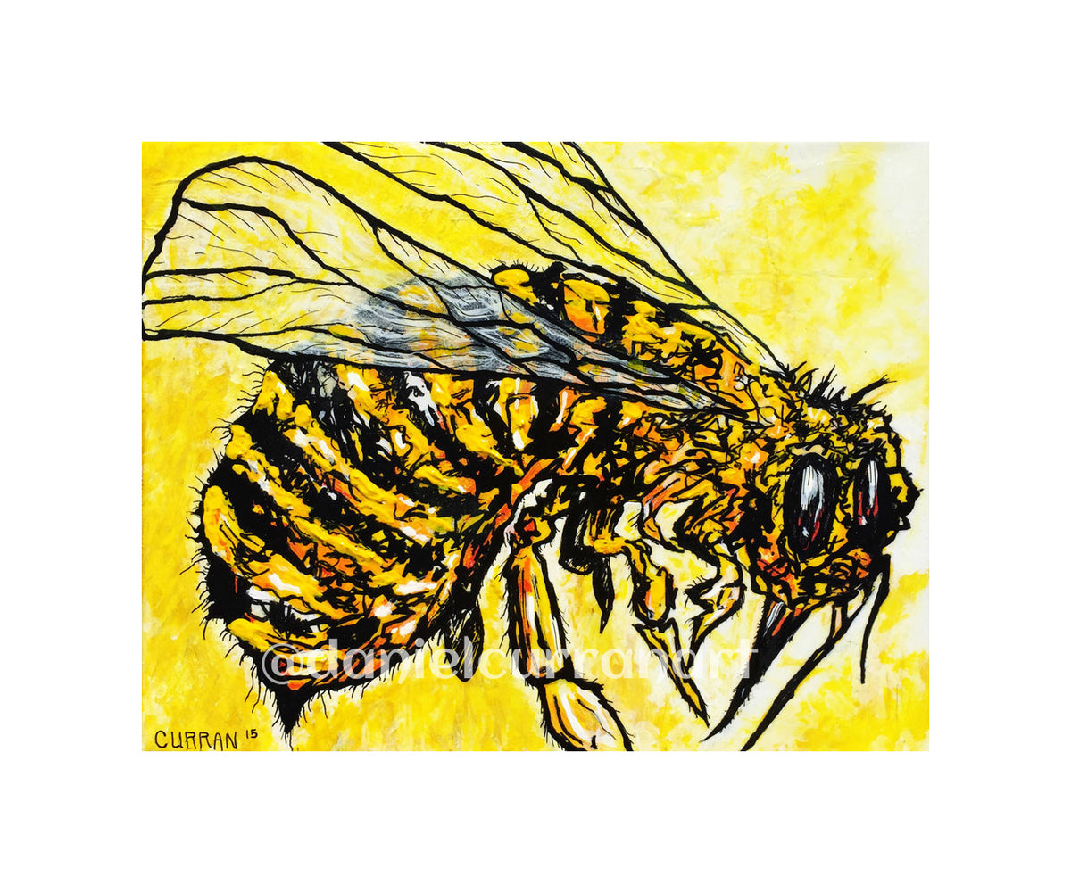 5"x 7" Yellowjacket Print (Matted) - Daniel Curran Art
