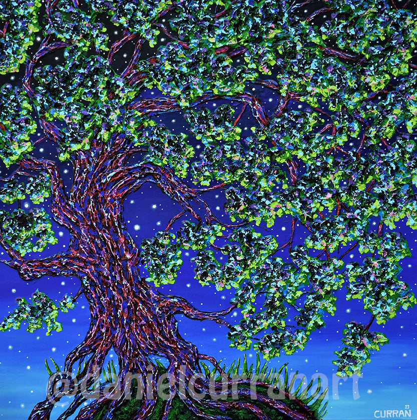 Dreaming Oak