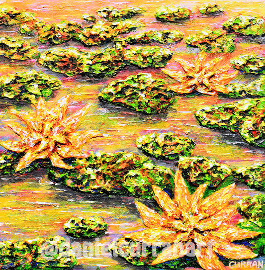 Starlight Swamp