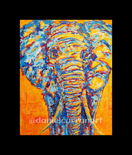 8"x 10" Elephant (Matted) - Daniel Curran Art