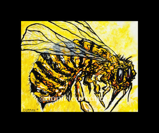 5"x 7" Yellowjacket Print (Matted) - Daniel Curran Art